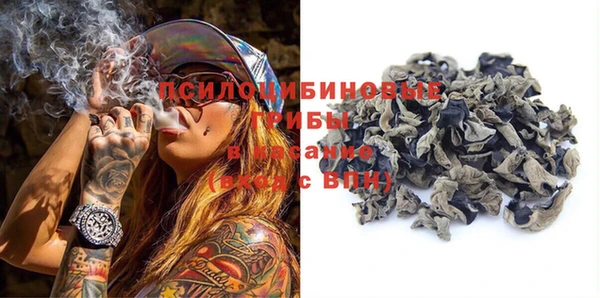 бутират Белокуриха