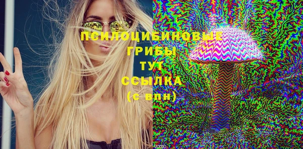 бутират Белокуриха