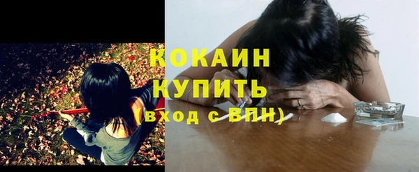 бутират Белокуриха